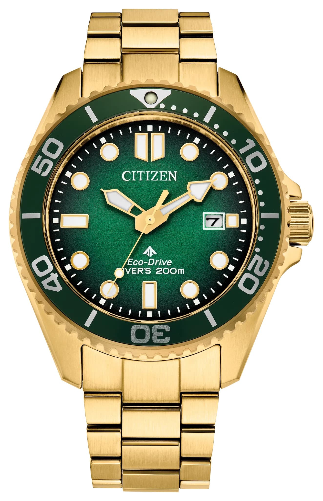Citizen Promaster Dive, 1/5